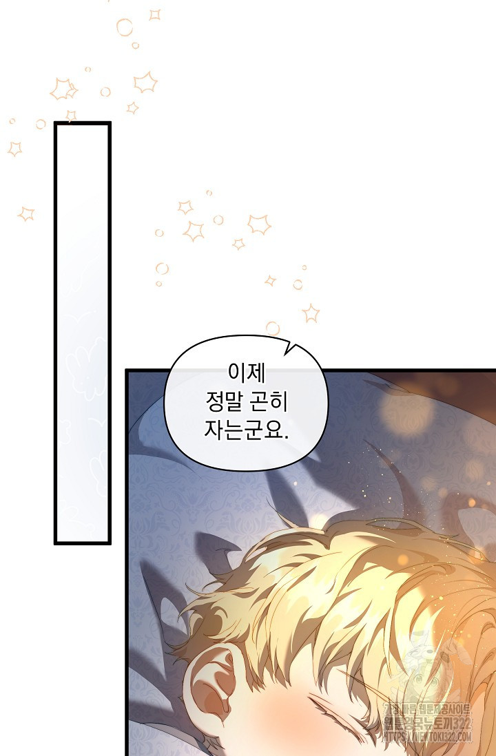 흑막 남주의 시한부 유모입니다 16화 45