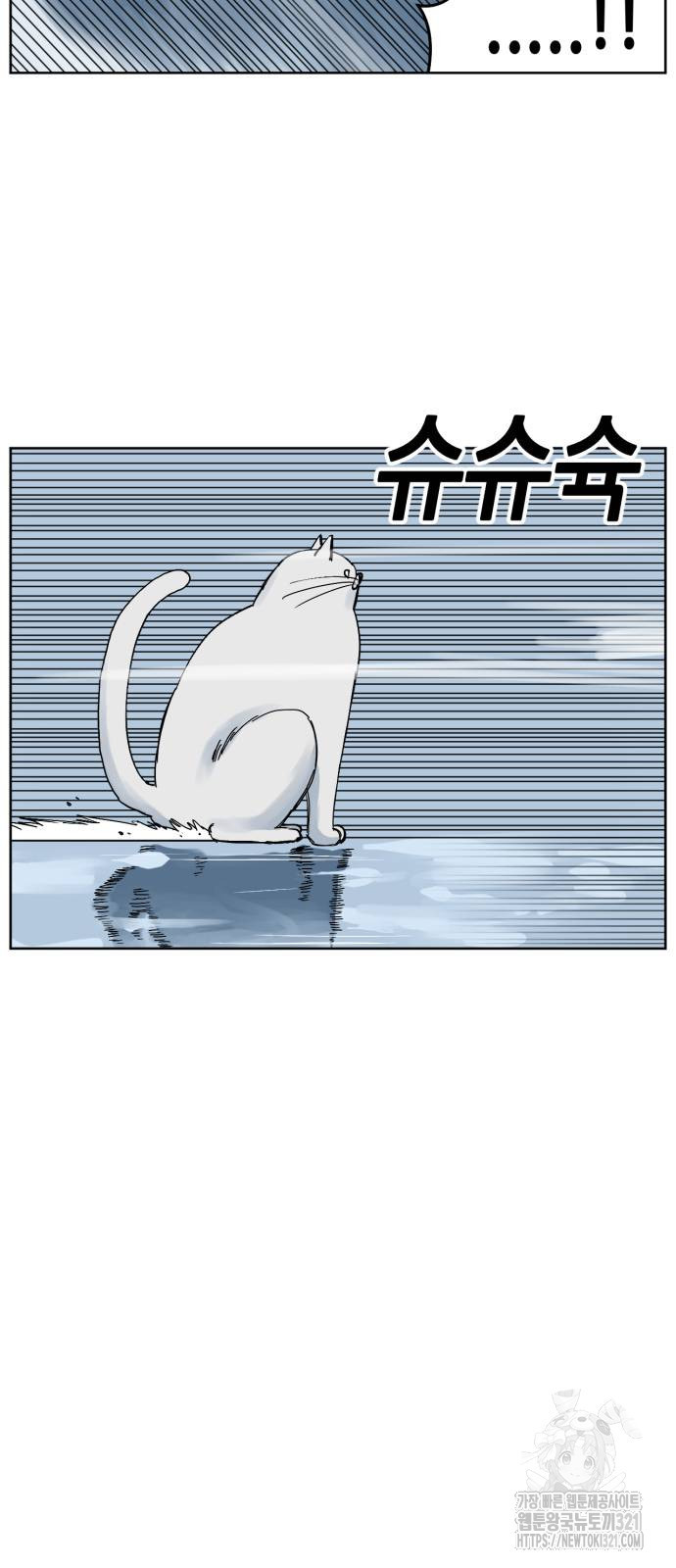 괴양이 30화 5