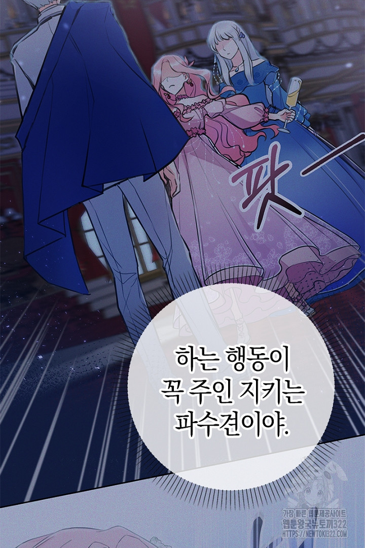 쫓아오지 마세요, 남주님! 17화 6