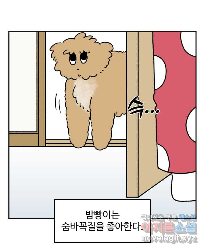 강아지는 멍멍하고 짖지 않아! 61화 - 숨바꼭질 1