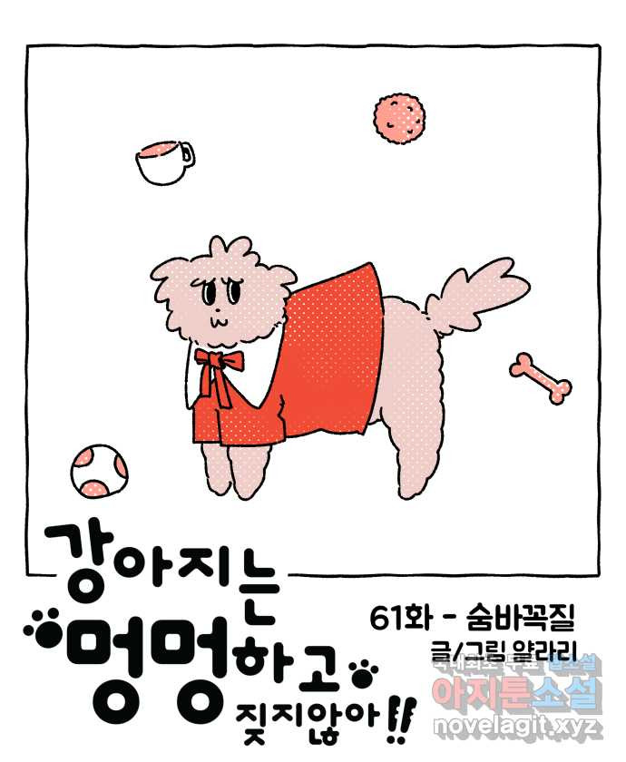 강아지는 멍멍하고 짖지 않아! 61화 - 숨바꼭질 5