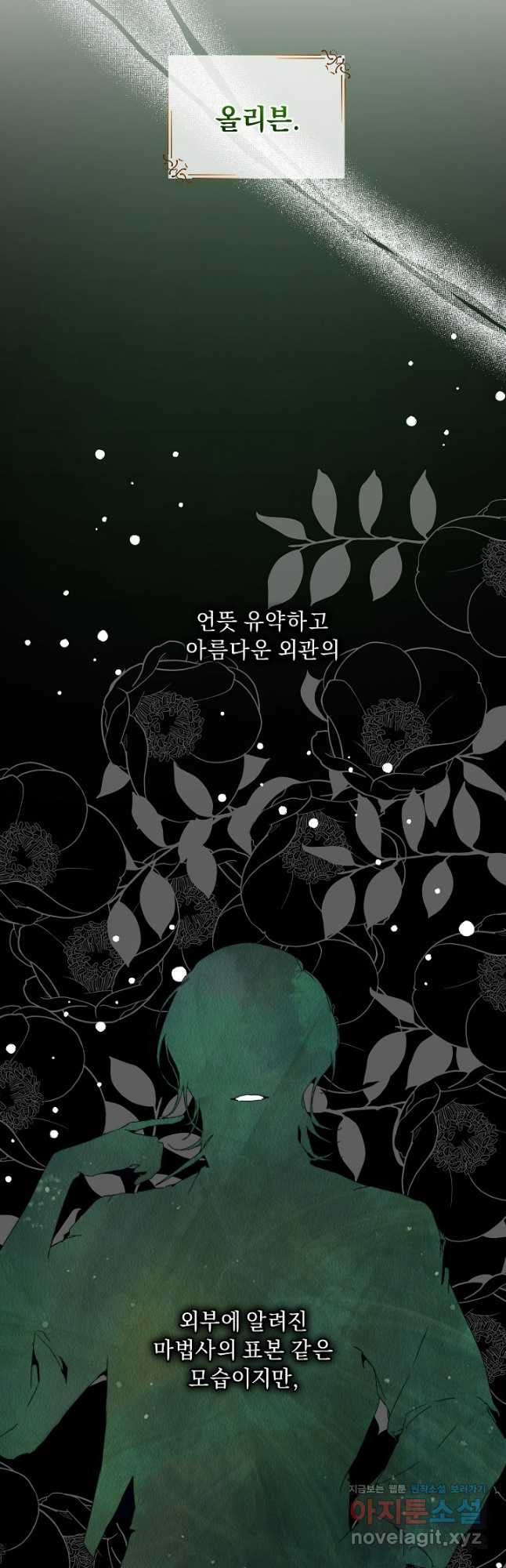 흑막 남주의 시한부 유모입니다 22화 31