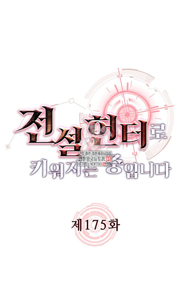 전설 헌터로 키워지는 중입니다 175화 1