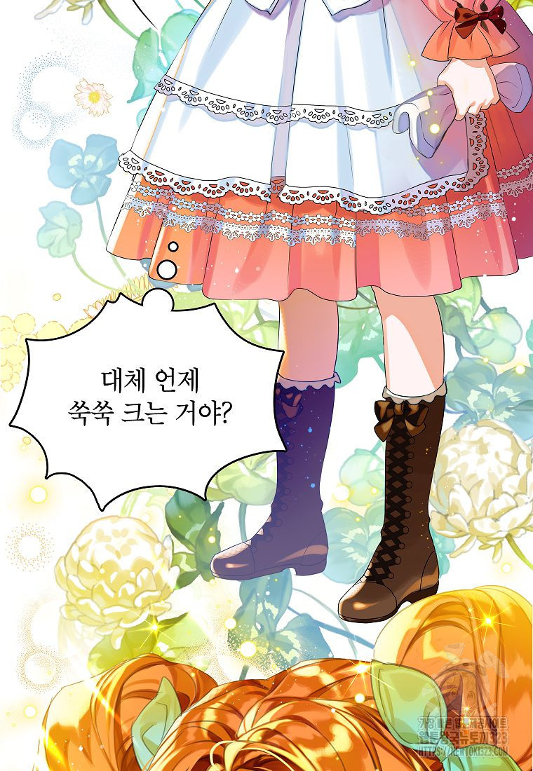 악당 가문의 상속녀입니다 1화 7