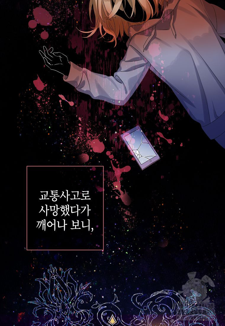 악당 가문의 상속녀입니다 1화 24