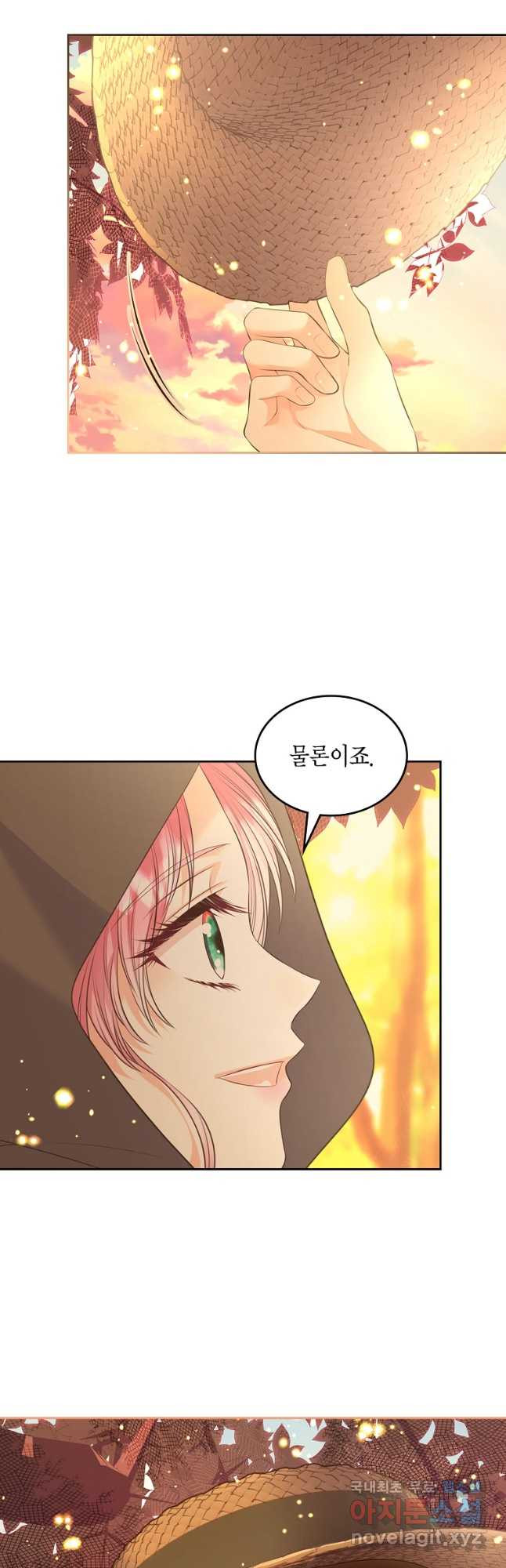 여주의 시스콤 오빠와 이혼하겠습니다 37화 48