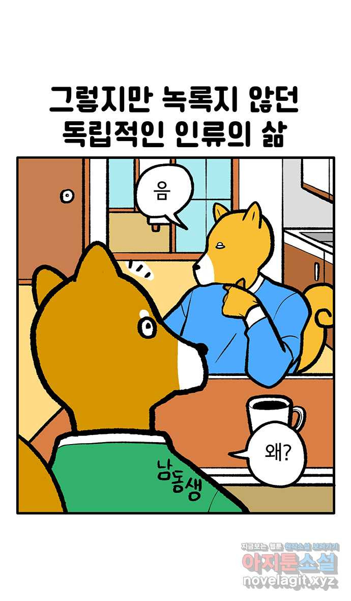 루루라라 우리네 인생 132화 림짱, 첫 집들이 6