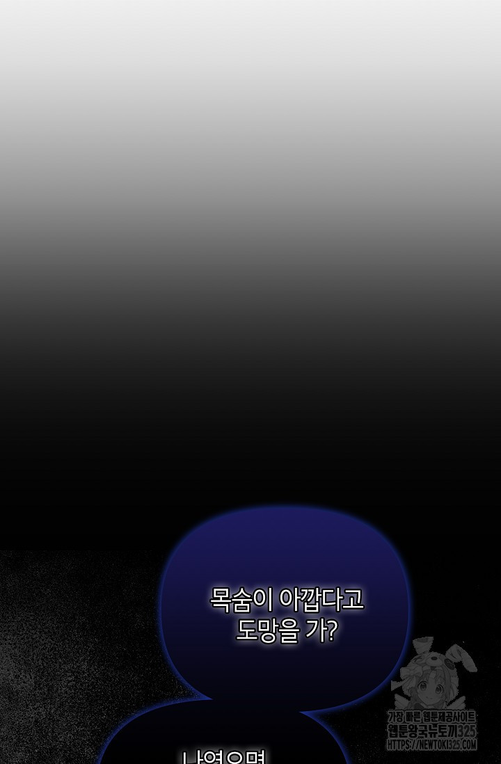제니스 70화 21