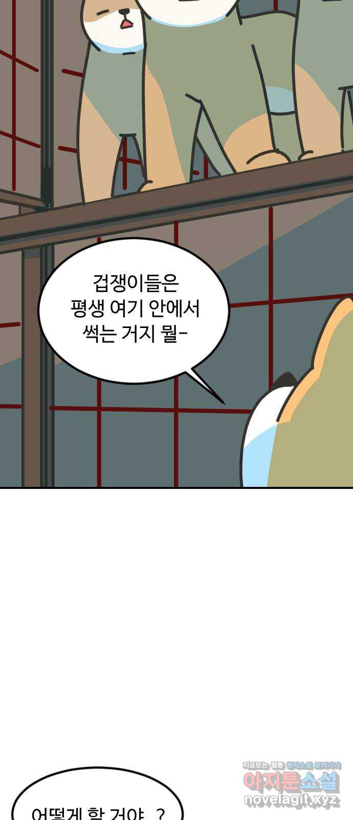 애구애구 62화 11