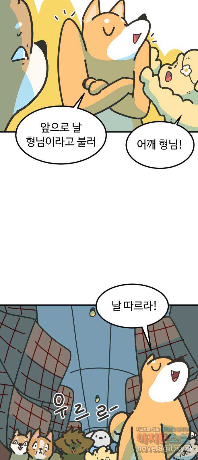 애구애구 62화 15