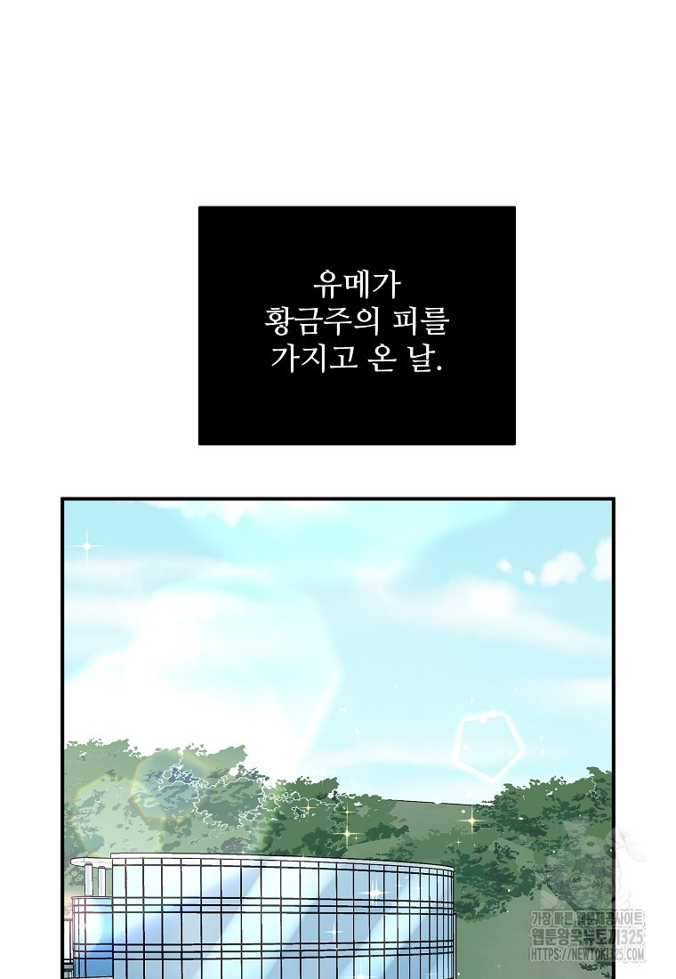 힘쎈여자 황금주 36화 2