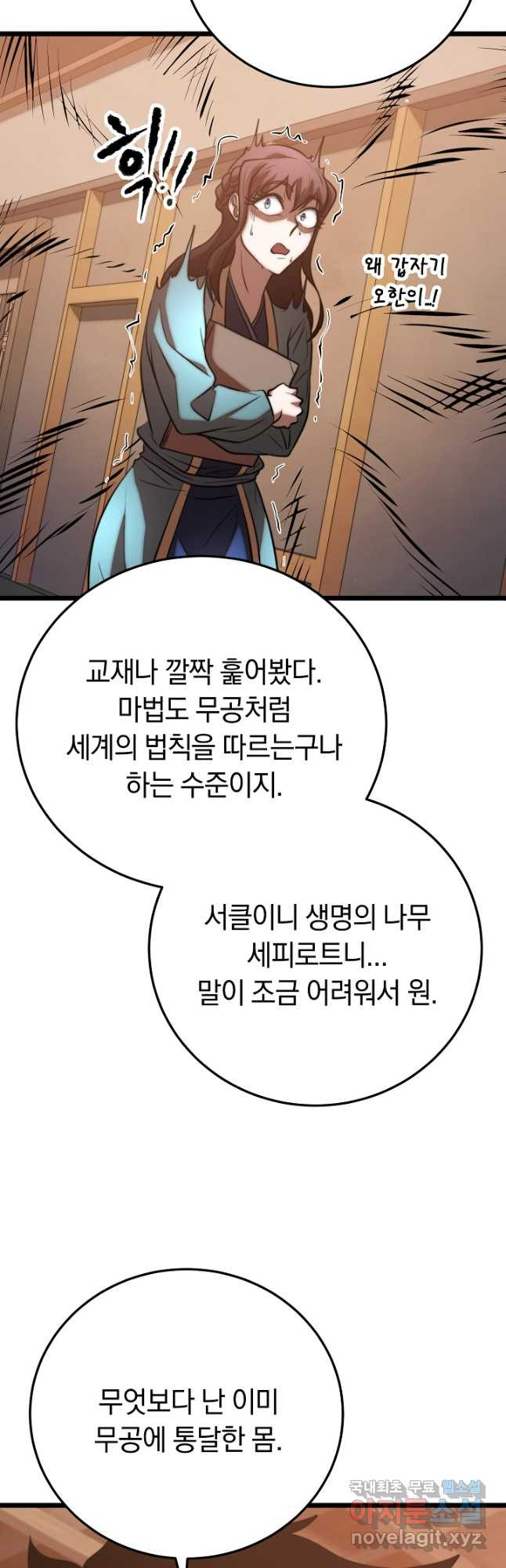 천마,리치왕의 무림을 부수다 91화 31