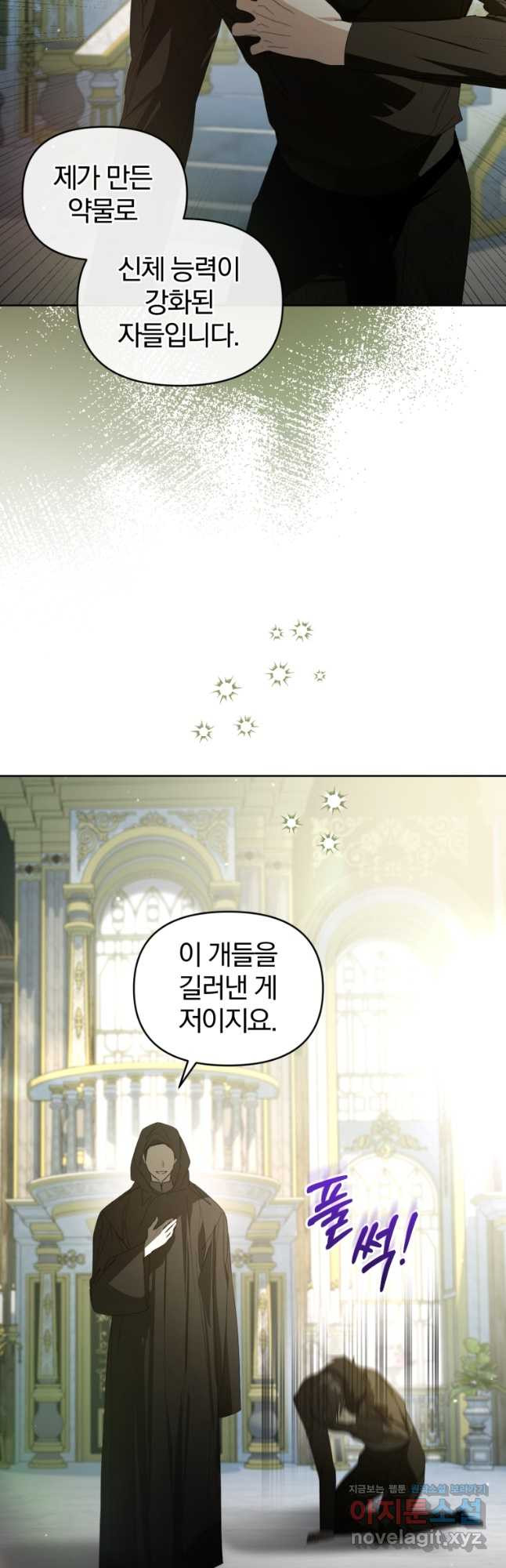 미친 악당의 품으로 떨어졌다 43화 36