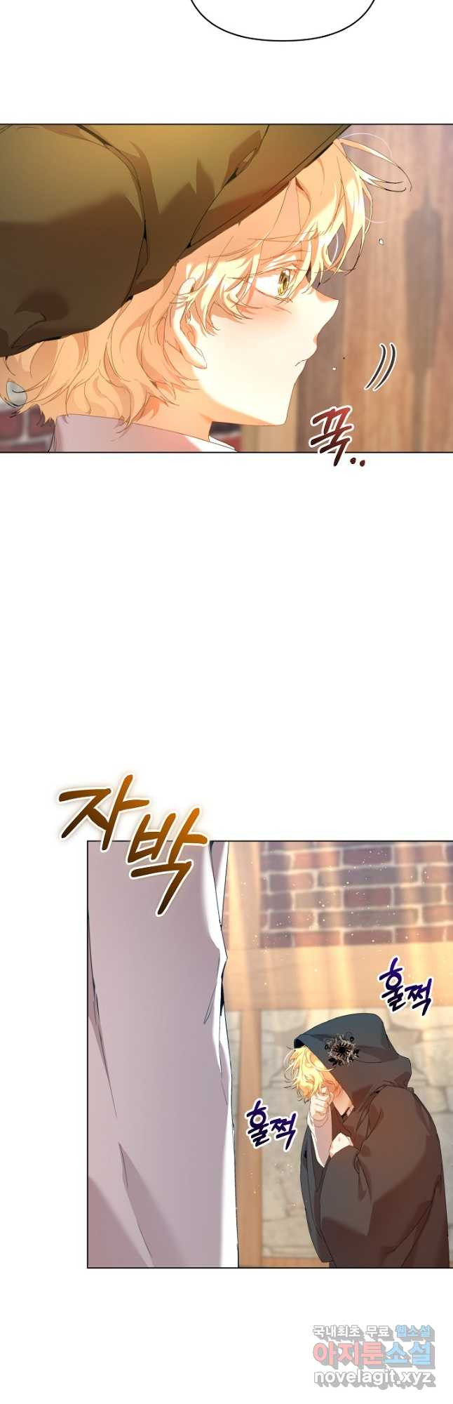 흑막 남주의 시한부 유모입니다 27화 20