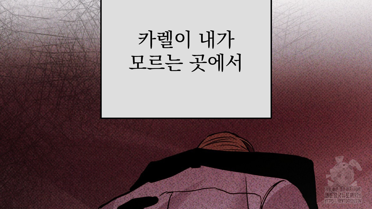솔로 포 투 46화 184