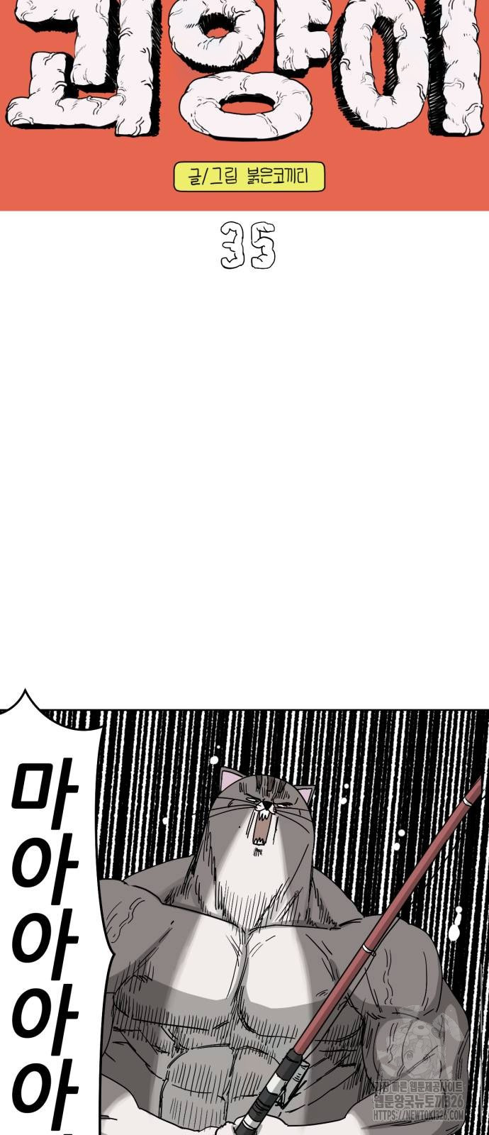 괴양이 35화 8