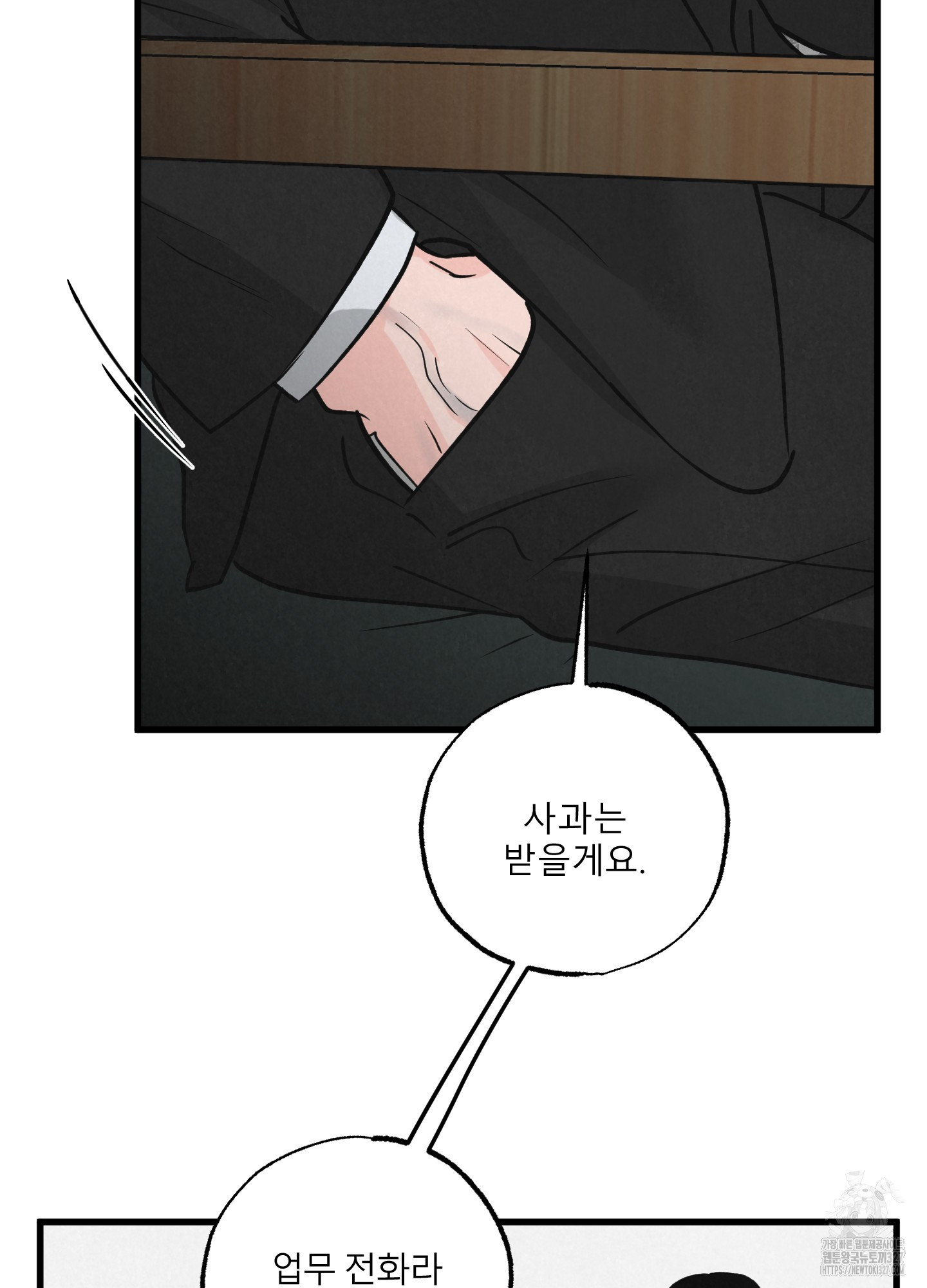 골든 페어(Golden Pair) 33화 14