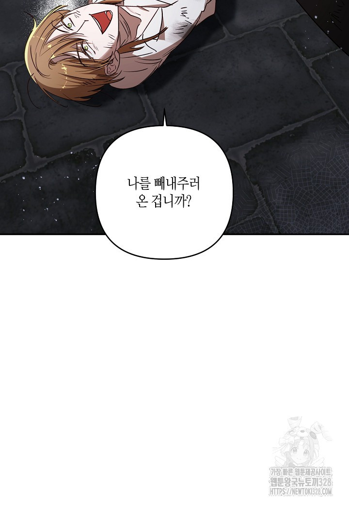 흑막 남편과의 이혼에 실패한 것 같다 79화 17