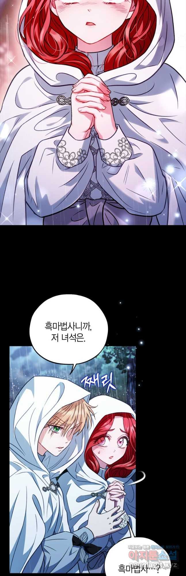 흑막의 독 감별사가 되겠습니다 38화 12